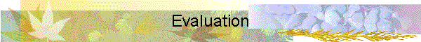 Evaluation