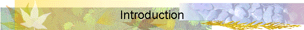 Introduction