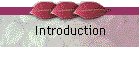 Introduction