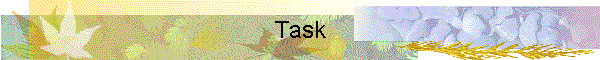 Task